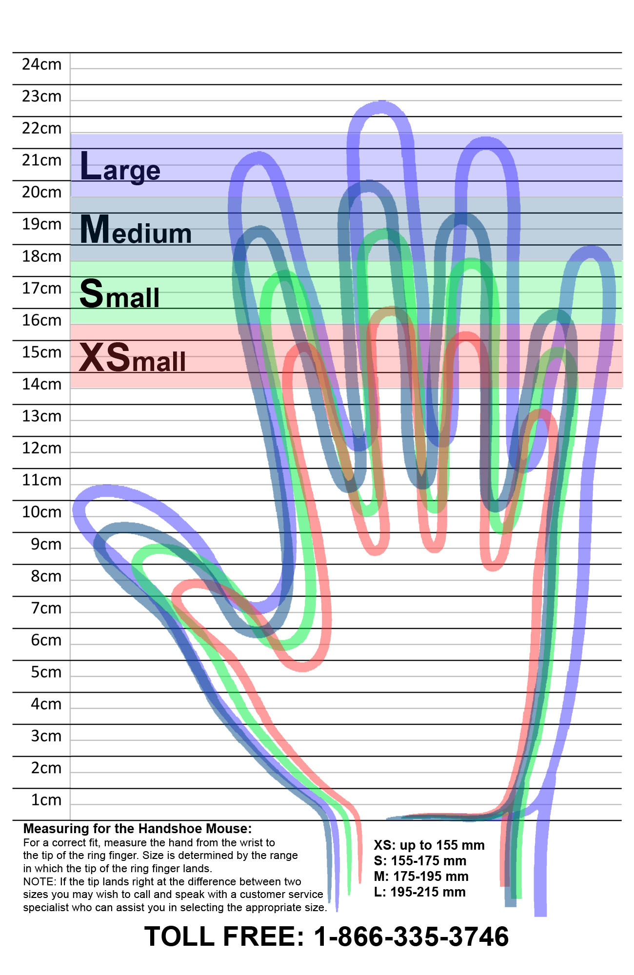 Mouse Chart