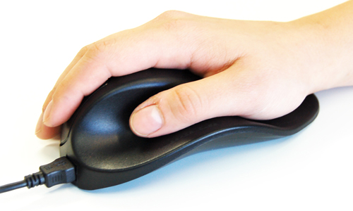 Picture of Handshoe Mouse